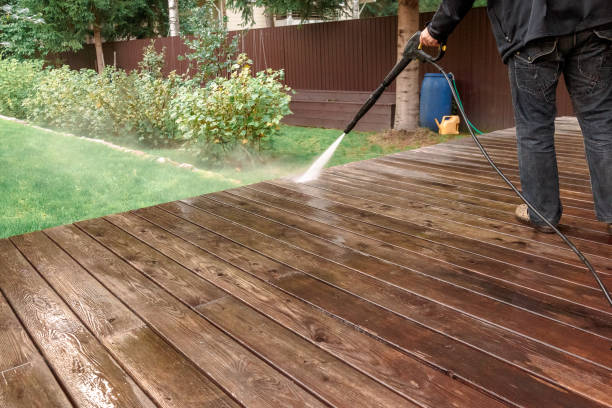 Best Animal Enclosure Cleaning  in Mount Vernon, TX